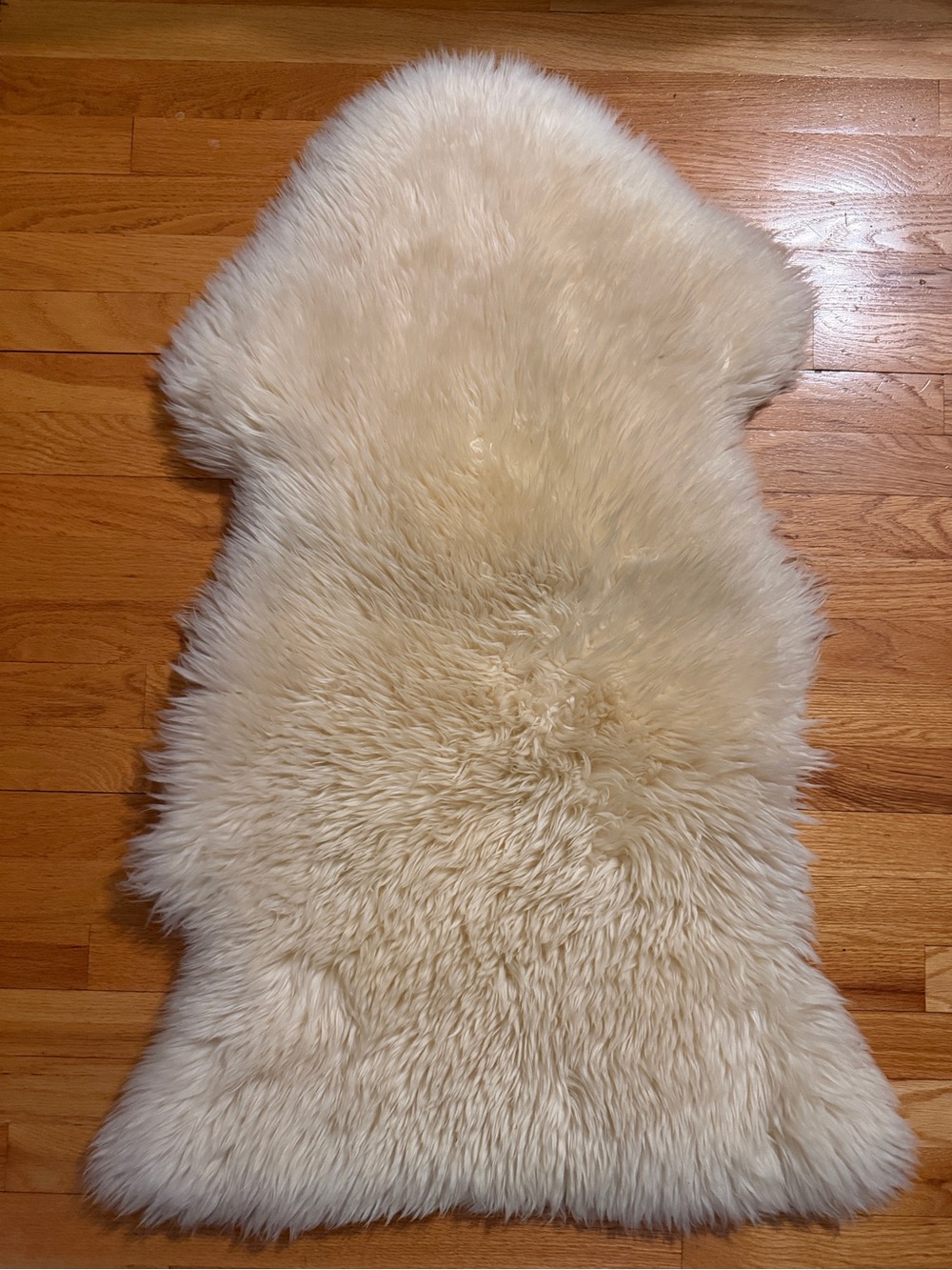 Safavieh Plush Ivory 100% Sheepskin Rug 2x3